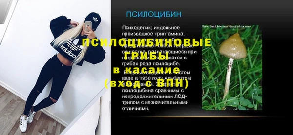 СК Белокуриха